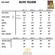 OLIVE YELLOW | 3PC Stitched Embroidered Outfit